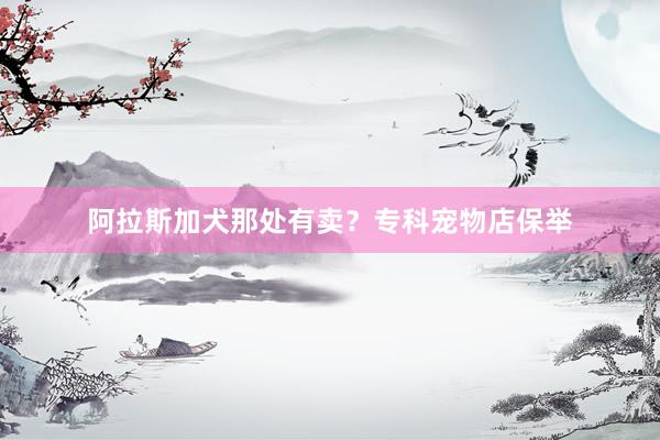 阿拉斯加犬那处有卖?专科宠物店保举